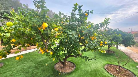 Foto 3 von Einfamilien-Reihenhaus zum Verkauf in Xop, Altafulla, Tarragona