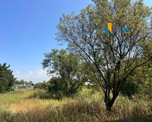 Land for sale in Conil de la Frontera