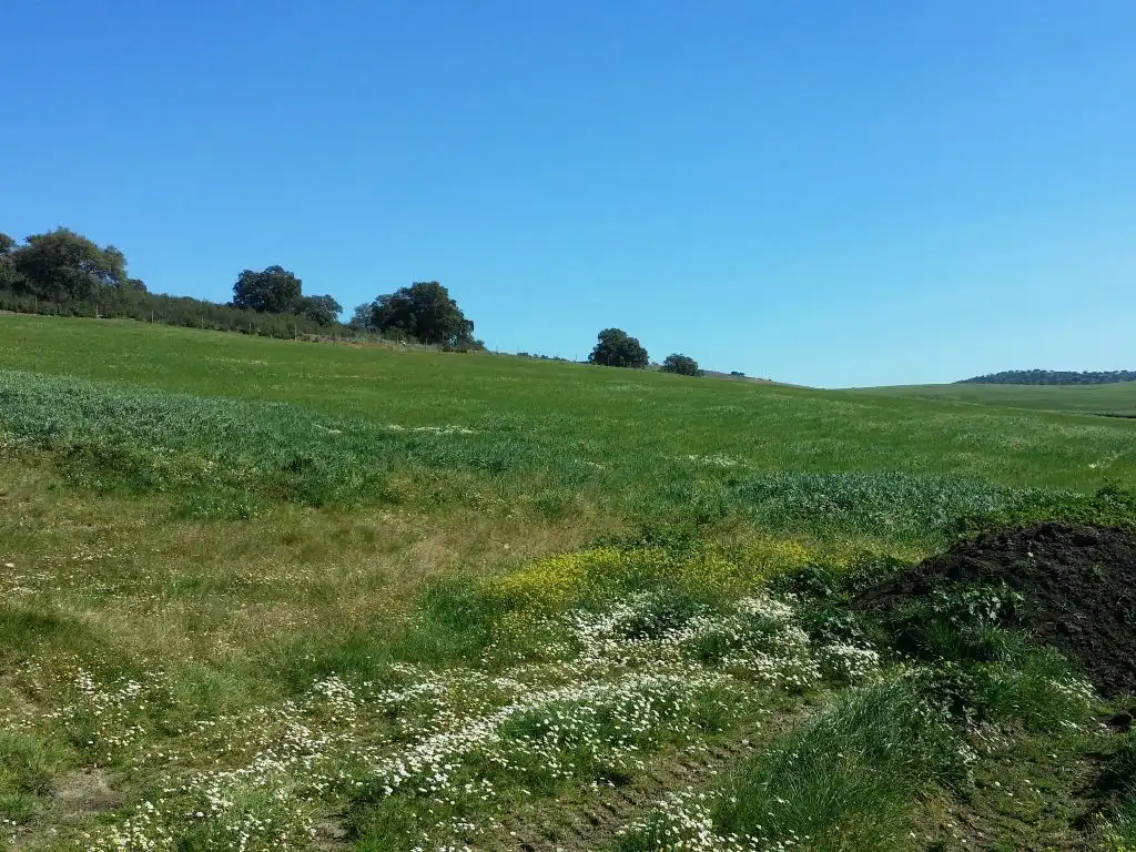 Landhaus mit Garten zum Verkauf in Peñarroya-Pueblonuevo, imagen 9