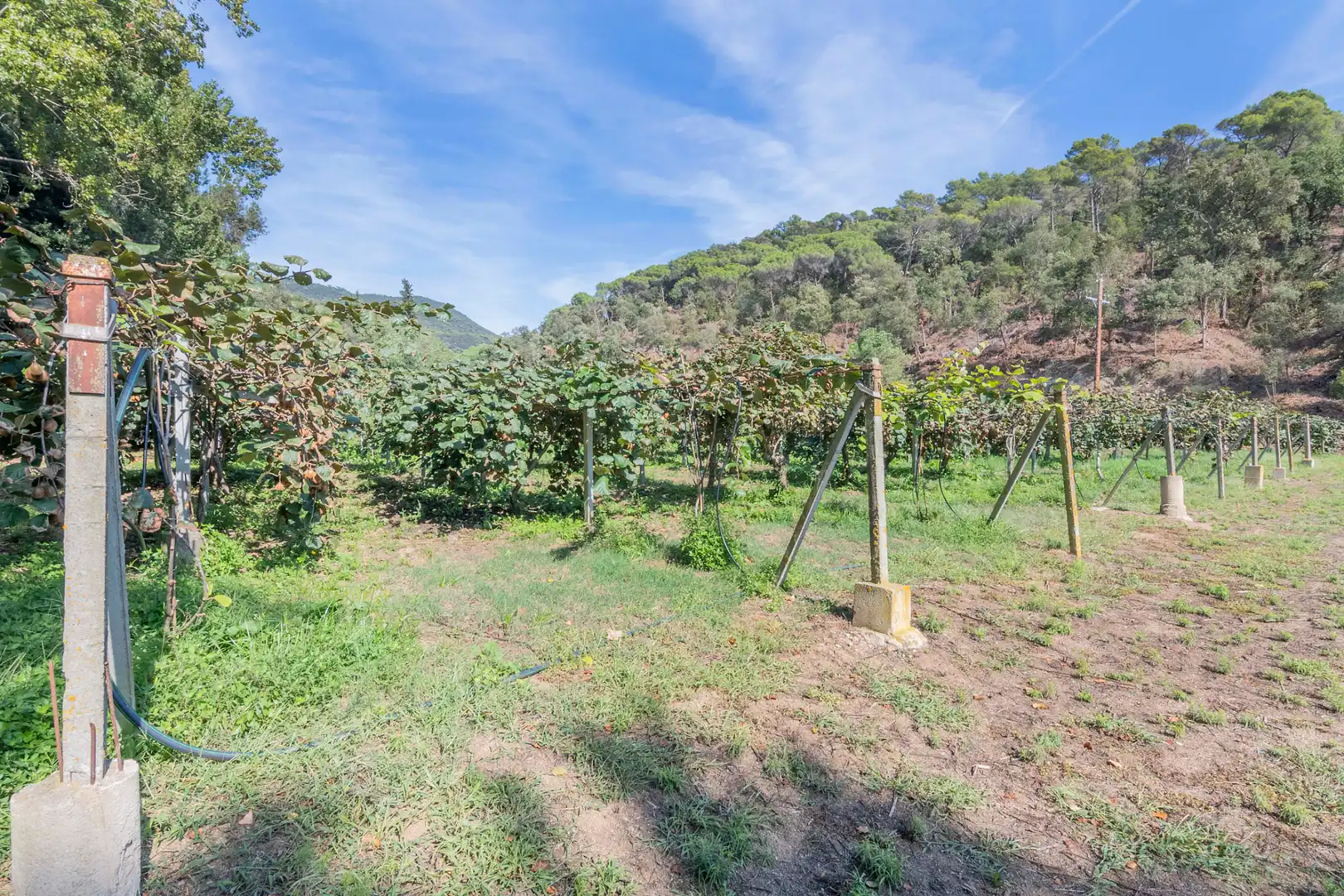 Casa rústica con piscina en venta en Camí Can Cabot de Munt, imagen 83
