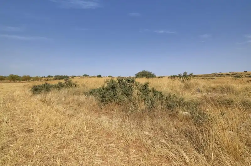Terreni e lotti in vendita a Padul, imagen 16