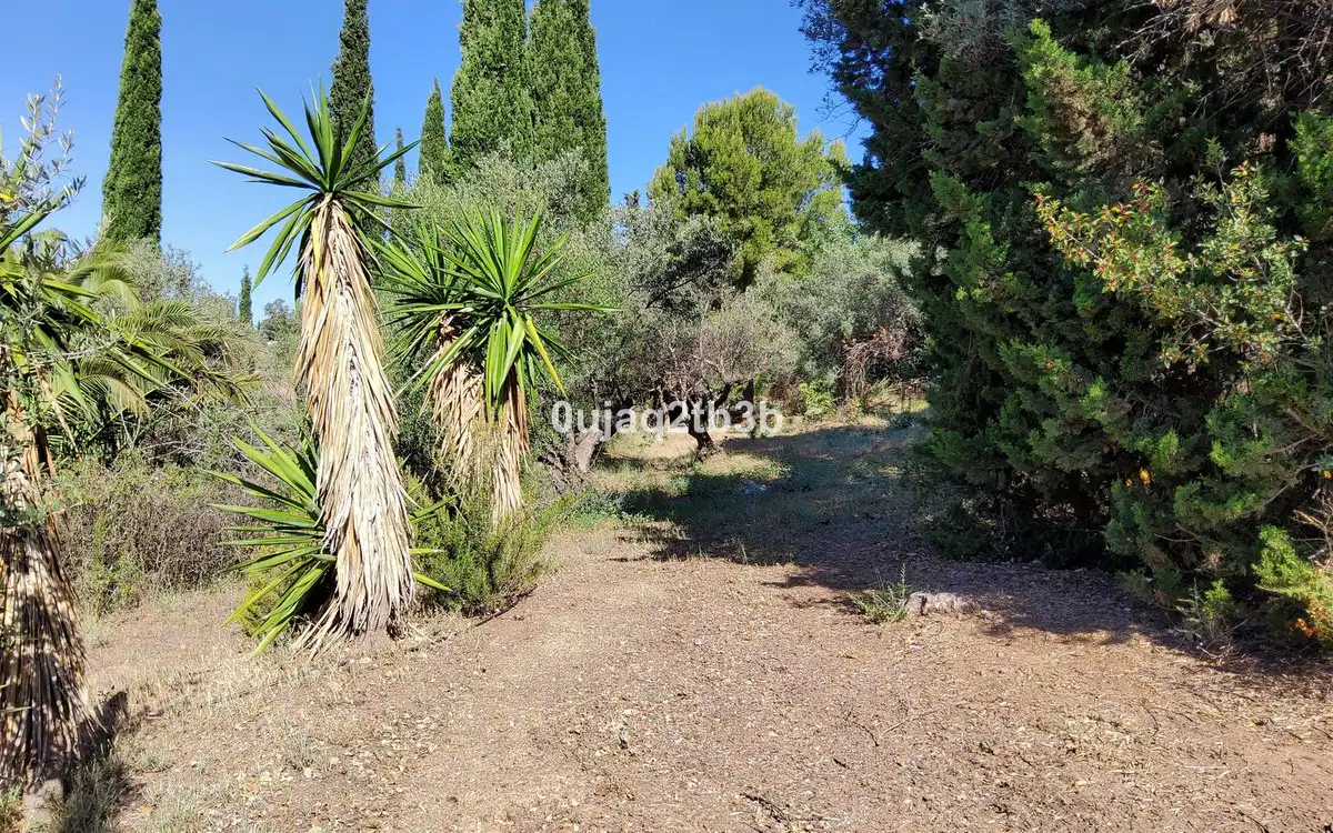 Casa rustica con piscina in vendita a Valtocado - La Alquería - La Atalaya, imagen 16