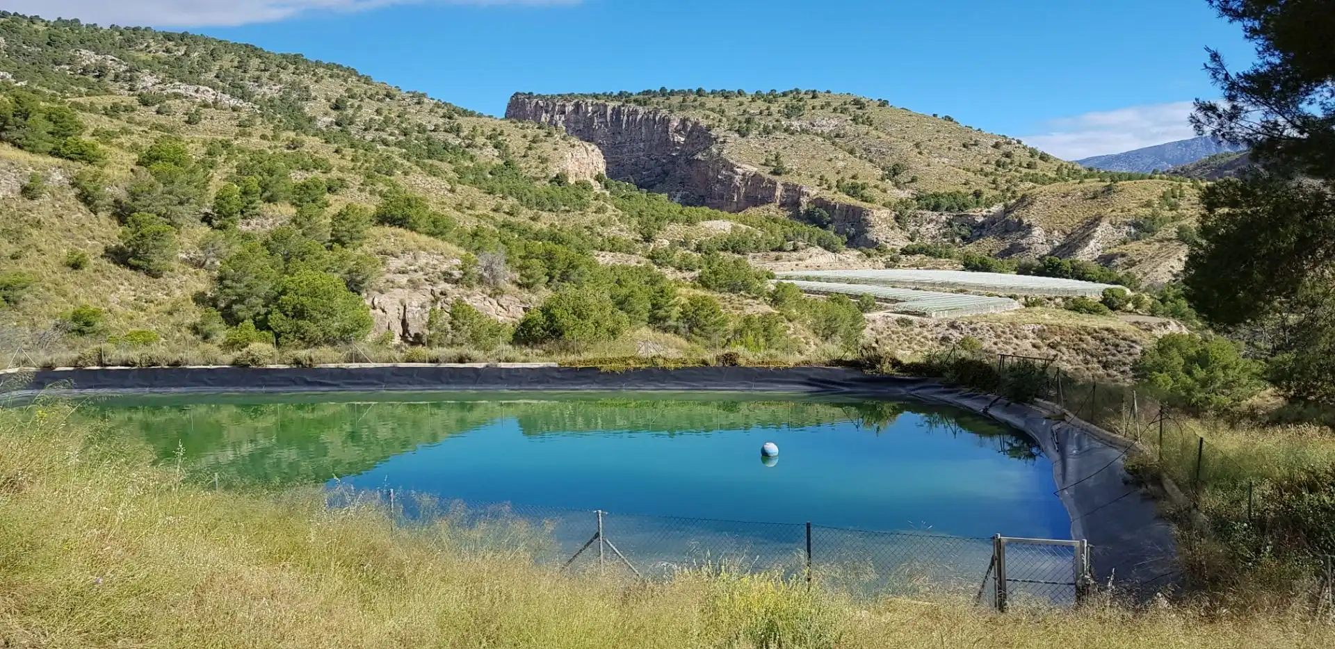 Piscina de Casa o chalet en venta en Aledo con Terraza y Trastero