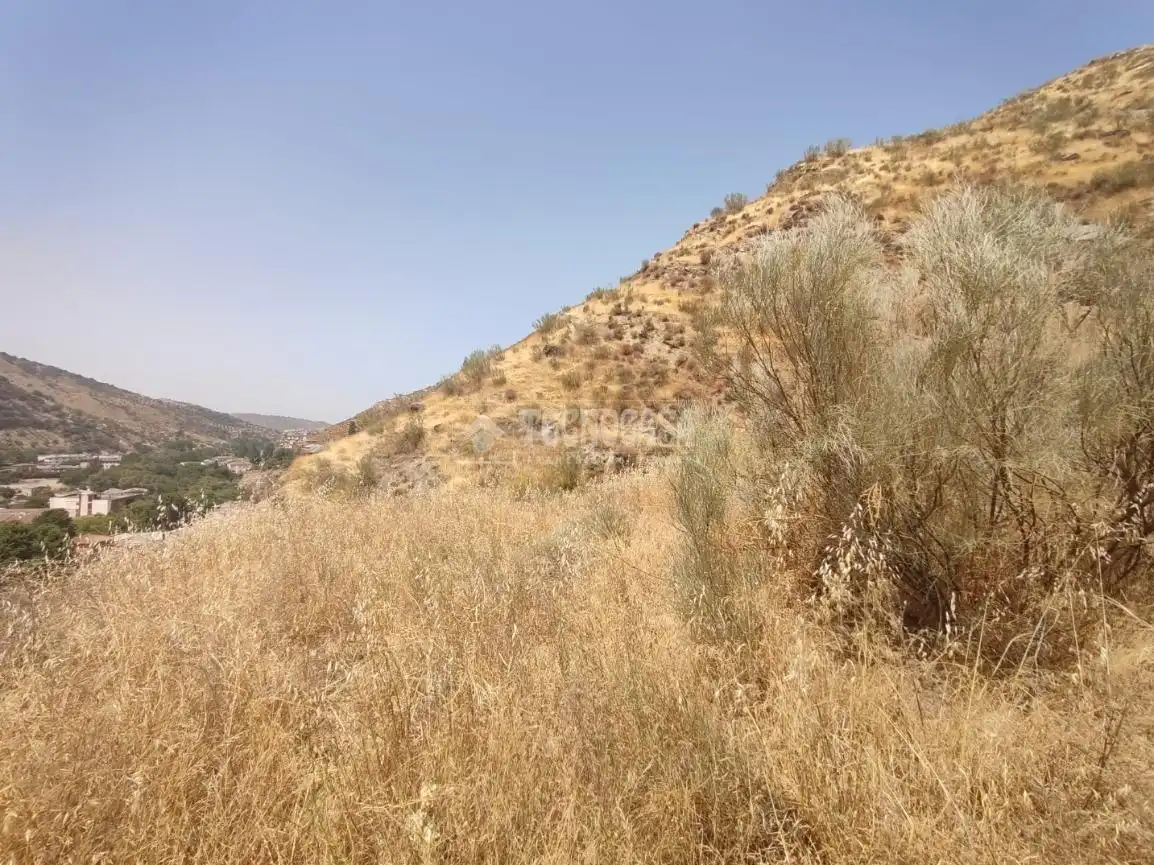 Rustikales Grundstück zum Verkauf in Pinos Genil, imagen 15