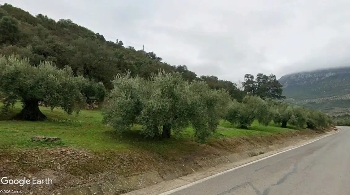 Terreny rústic en venda a Martos, imagen 5