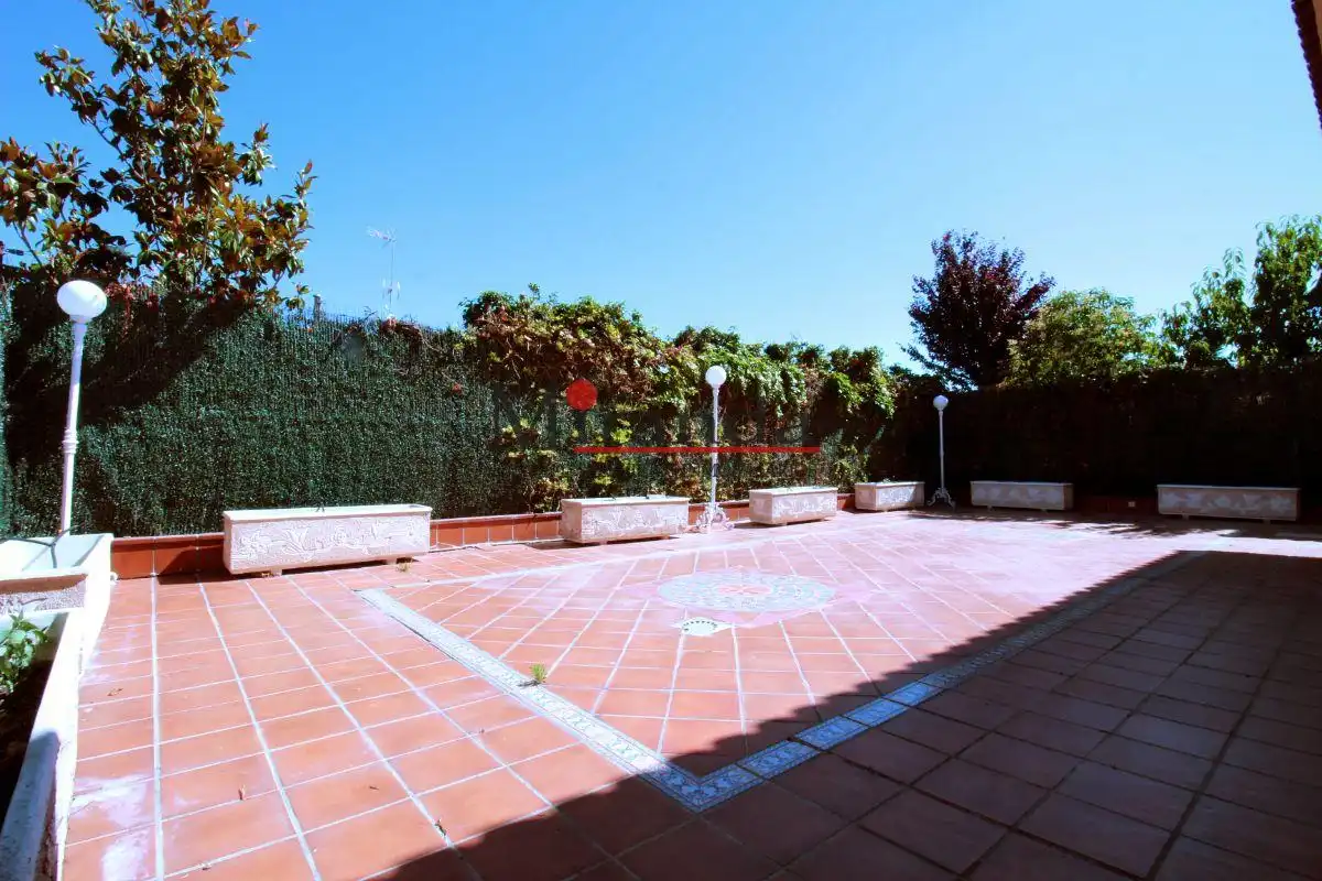 Houses for rent in Centro