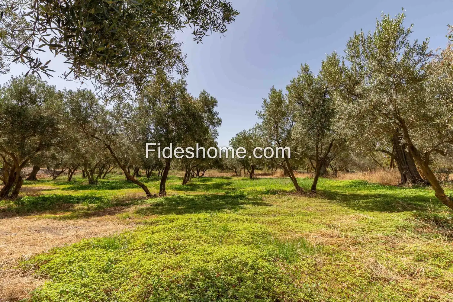 Rural land for sale in XFG2+MG9 Nigüelas 0, imagen 31