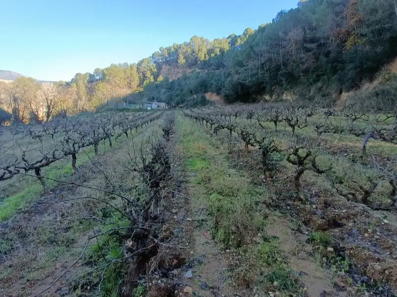 Terreno rústico en venta en Carretera de piera 1