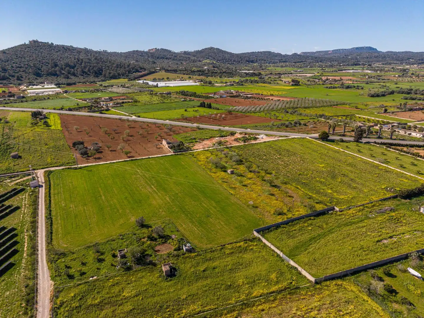 Terreno rústico en venta en Porreres, imagen 10