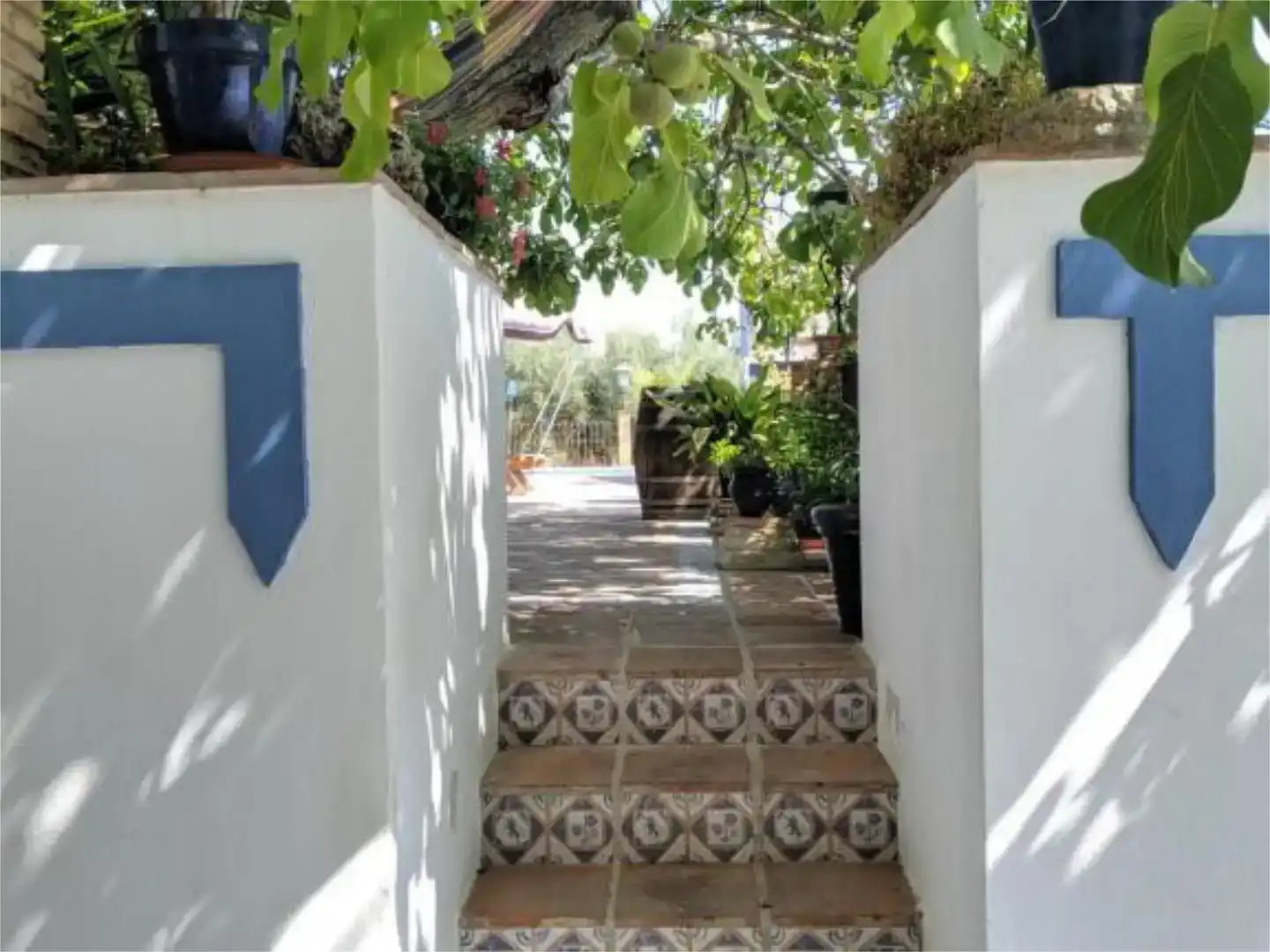 Vista exterior de Casa o chalet en venta en Baena con Piscina