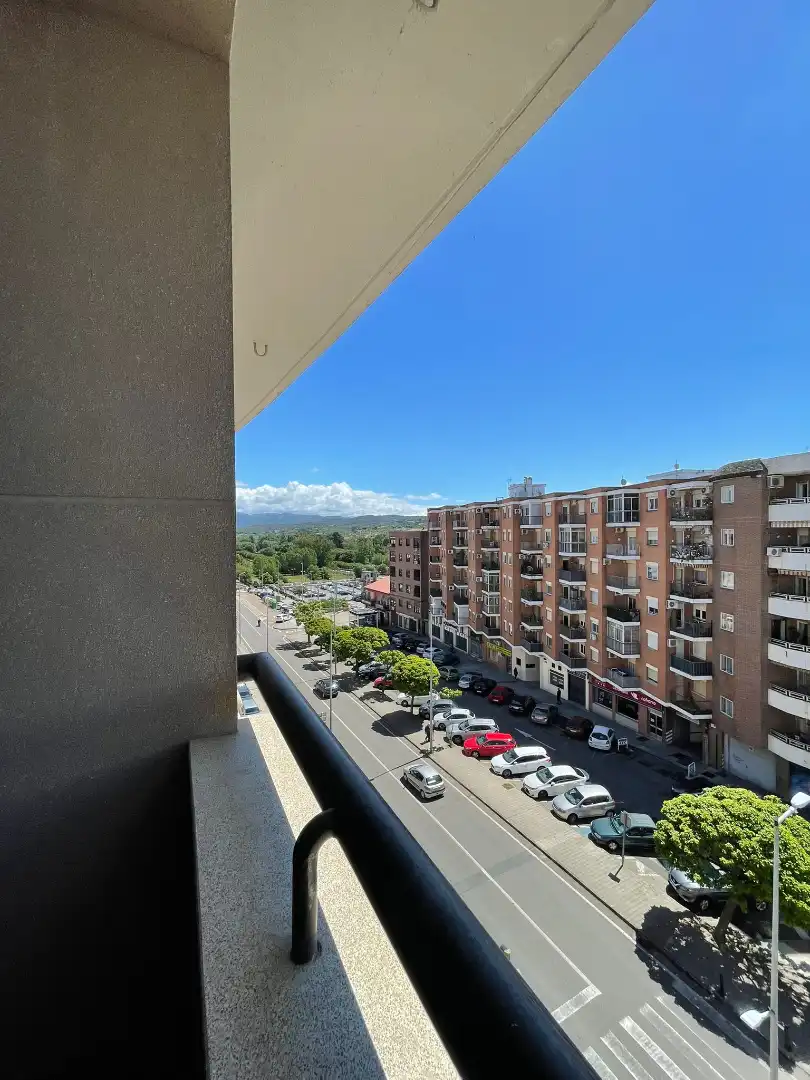 Pis en venda a Avenida del Valle, Centro Ciudad