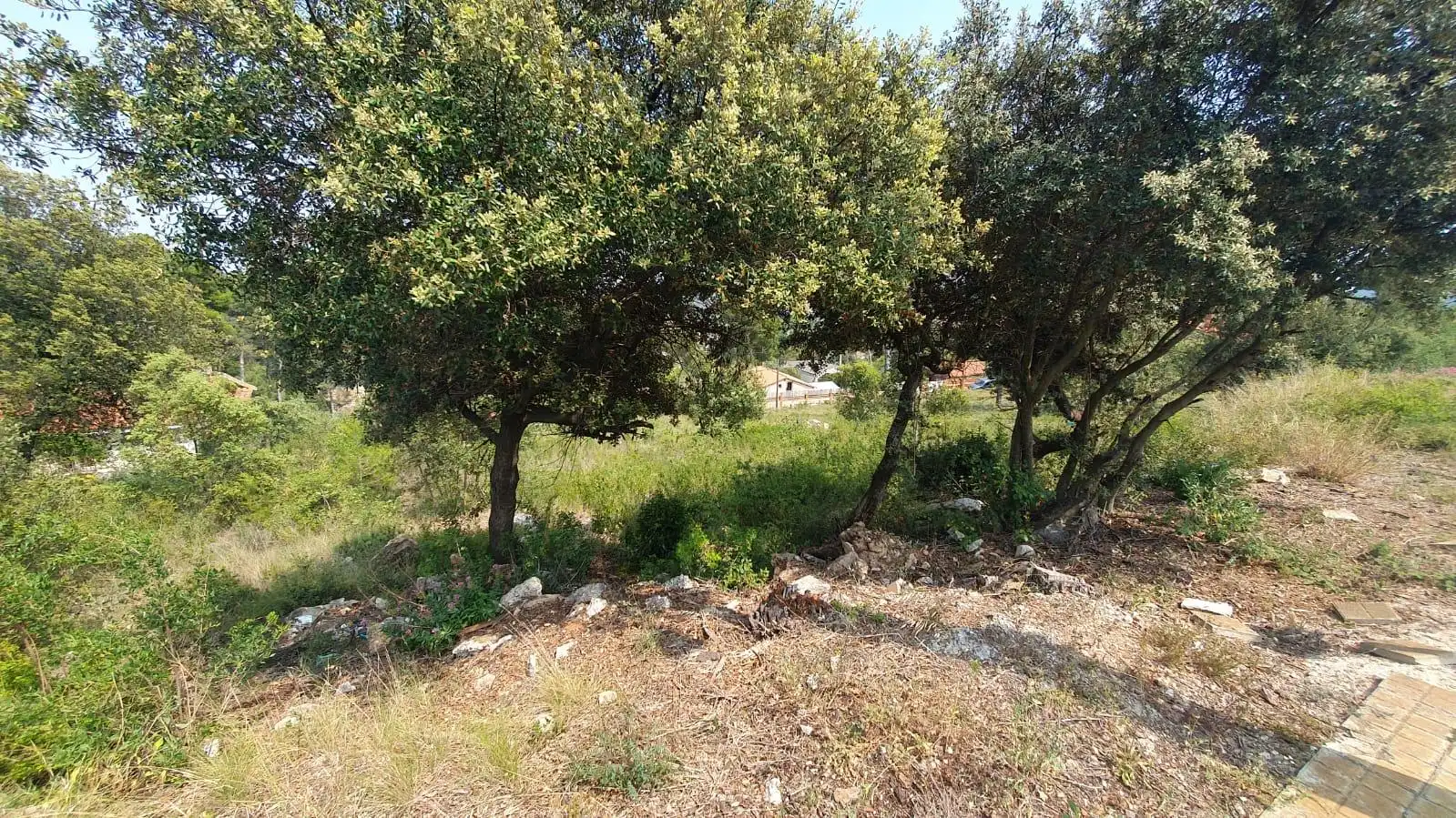Terrenys i solars en venda a Joan Miró 556, imagen 4