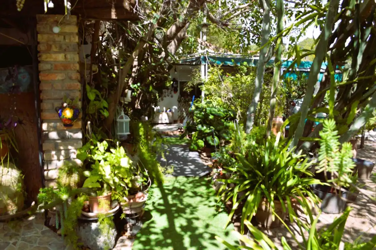 Jardí de Casa o xalet en venda en Orihuela amb Aire condicionat, Calefacció i Jardí privat