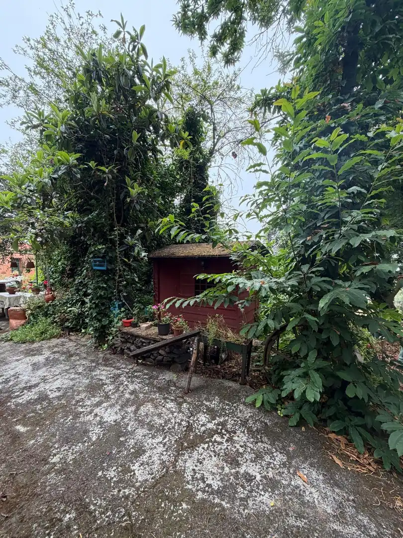 Terreno rustico in vendita a El Bebedero - Pinolere - Aguamansa, imagen 34
