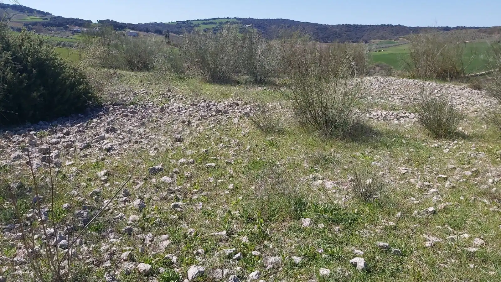 Terrains et parcelles à vendre à Setenil de las Bodegas, imagen 6