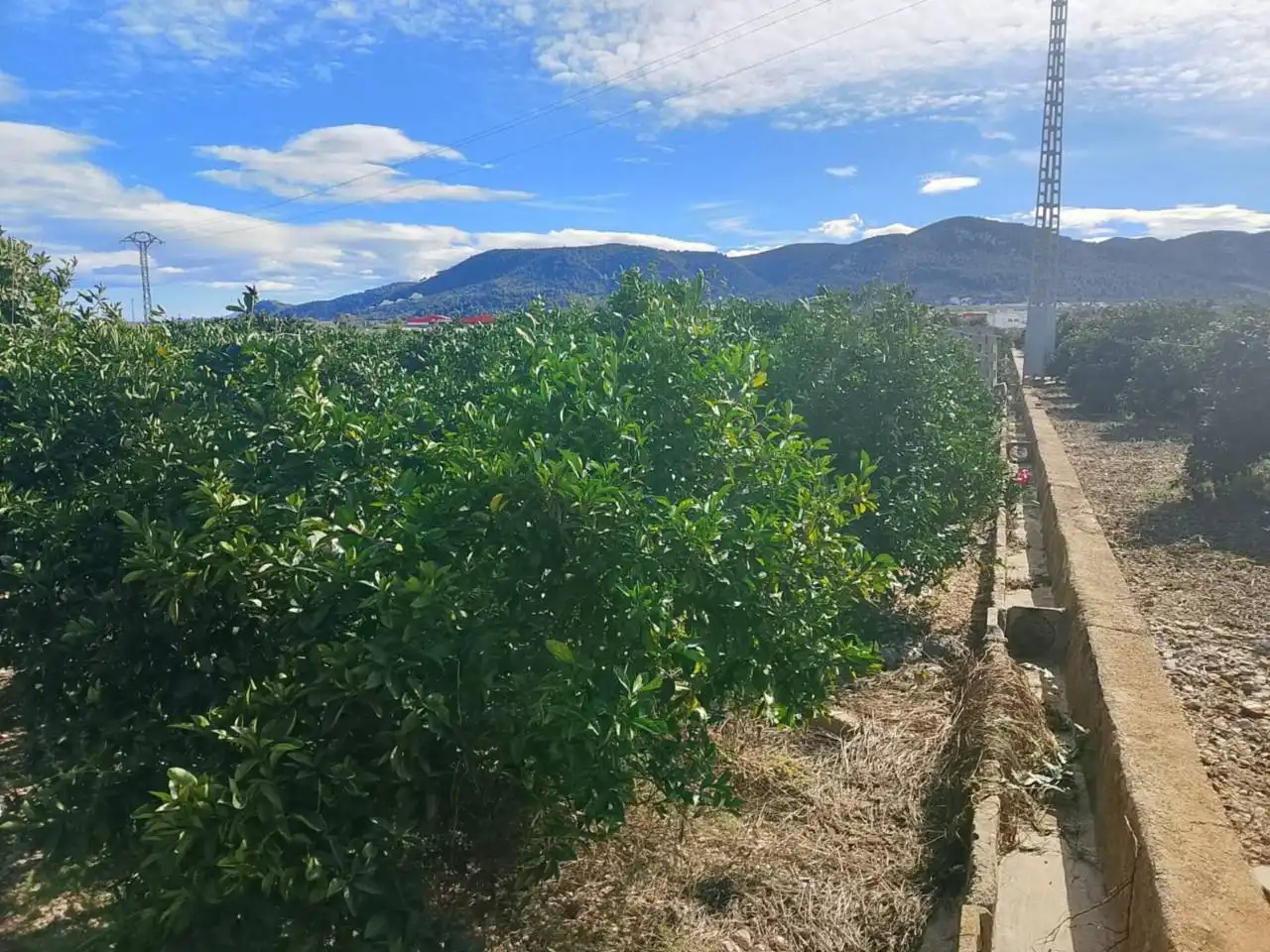 Rustikales Grundstück zum Verkauf in Camino Xeraco a Xeresa, imagen 8