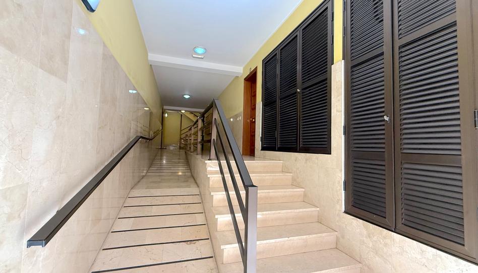 Foto 1 de Pis de lloguer a Calle San Vicente Ferrer, Toscal, Santa Cruz de Tenerife