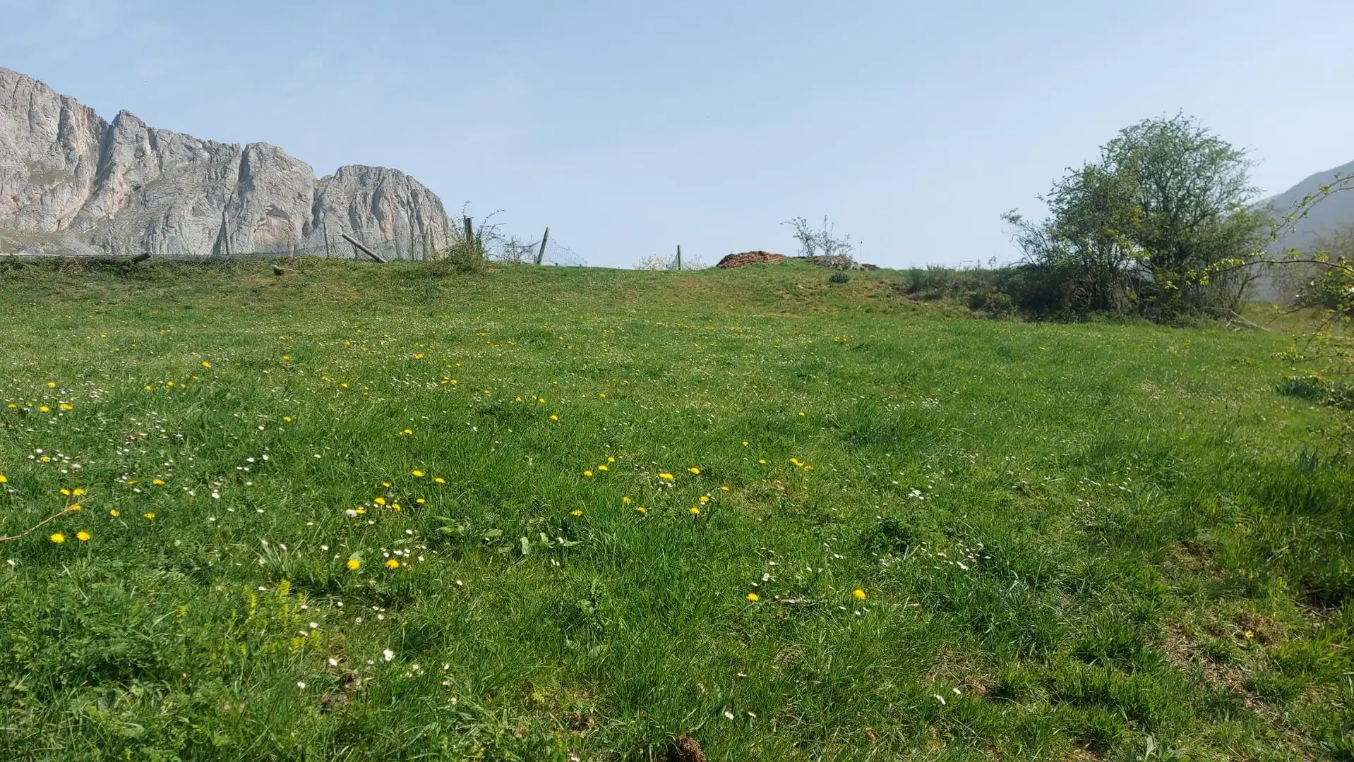 Terreno rustico in vendita a Pesaguero, imagen 2