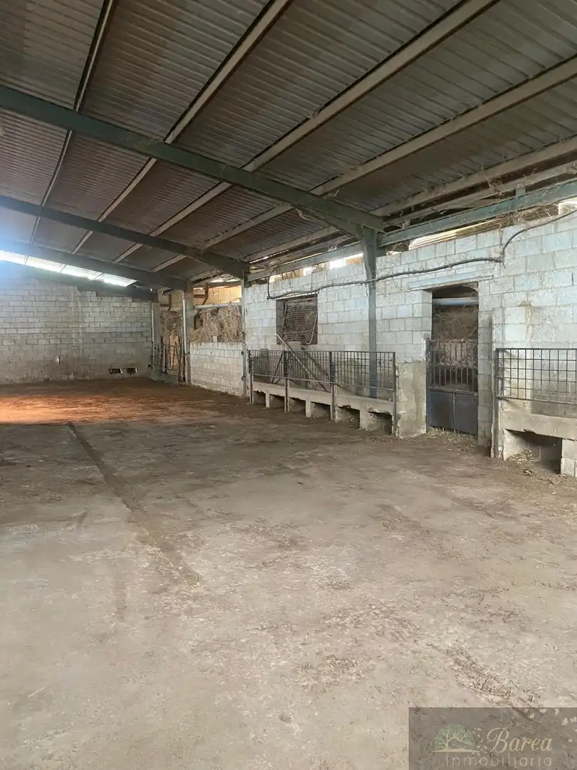 Nave industrial en venta en Rute