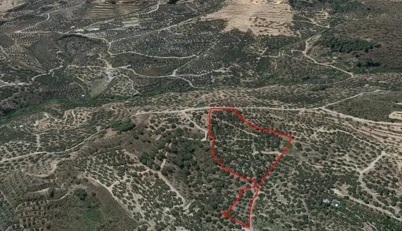 Terreno rustico in vendita a El Valle, imagen 25