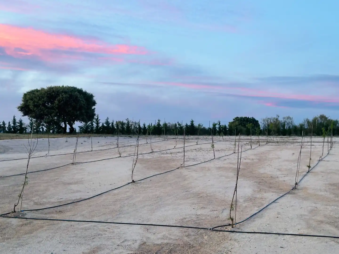 Terreno en venta en Madrid