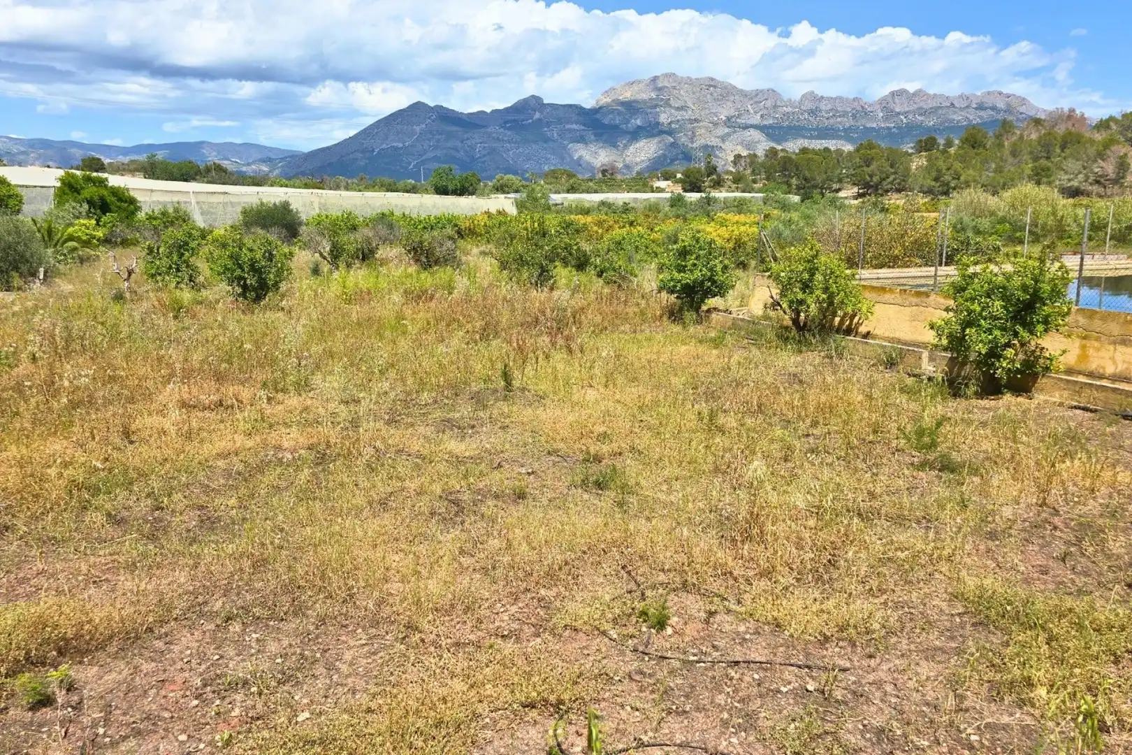 Terrenos y solares en venta en Escandinavia - Cautivador, imagen 4