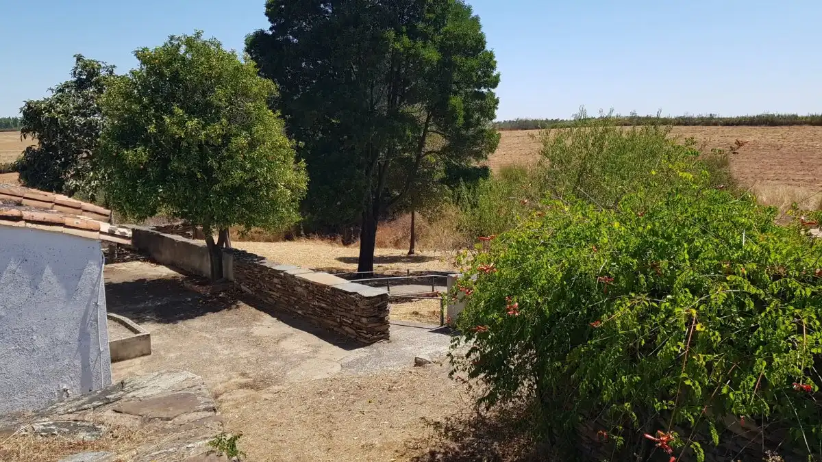 Finca rústica en venta en La Codosera