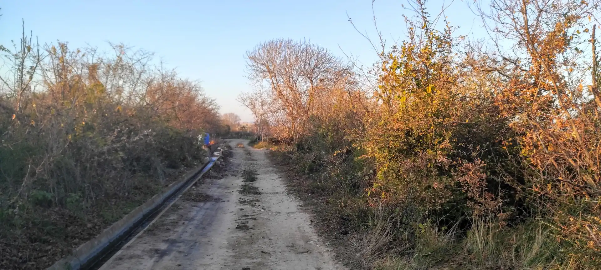 Terreny rústic en venda a Carretera Maso la a Vallmoll 1, imagen 6