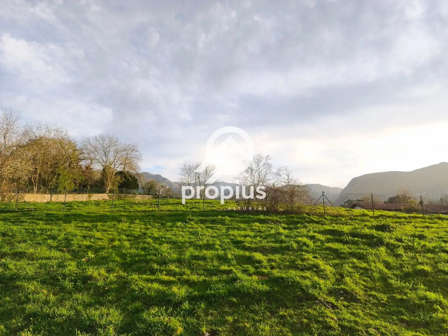 Wohnbaugrundstück zum Verkauf in PORRUA, imagen 25