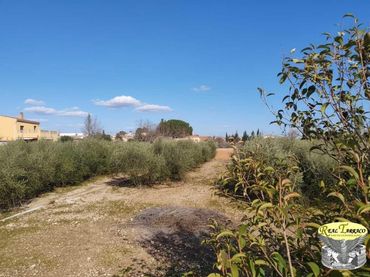 Terreno residencial en venta en Alcover