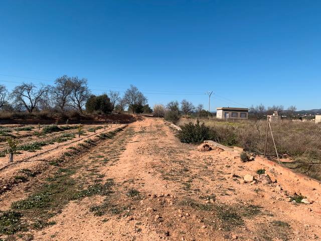 Terreno en Venta en Partida Pla Estepar 3 en Corral Nou - Montros - Estepar