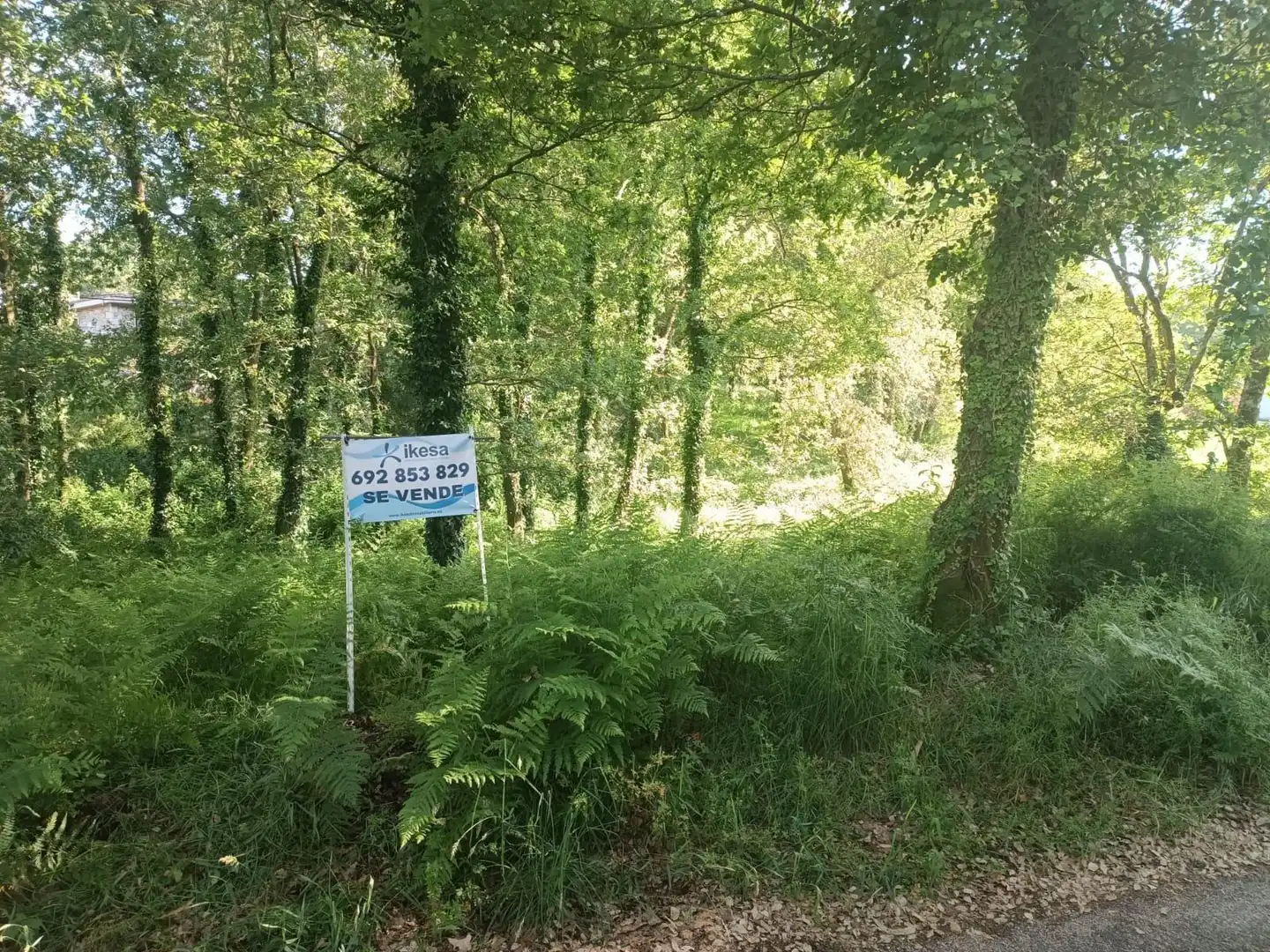 Terreno en venta en Tomiño