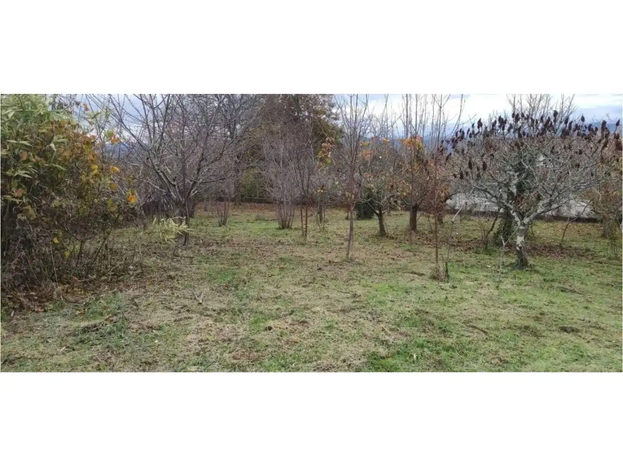 Terreny rústic en venda a Calle Lugar Barrabaite - Lamela 18, imagen 3