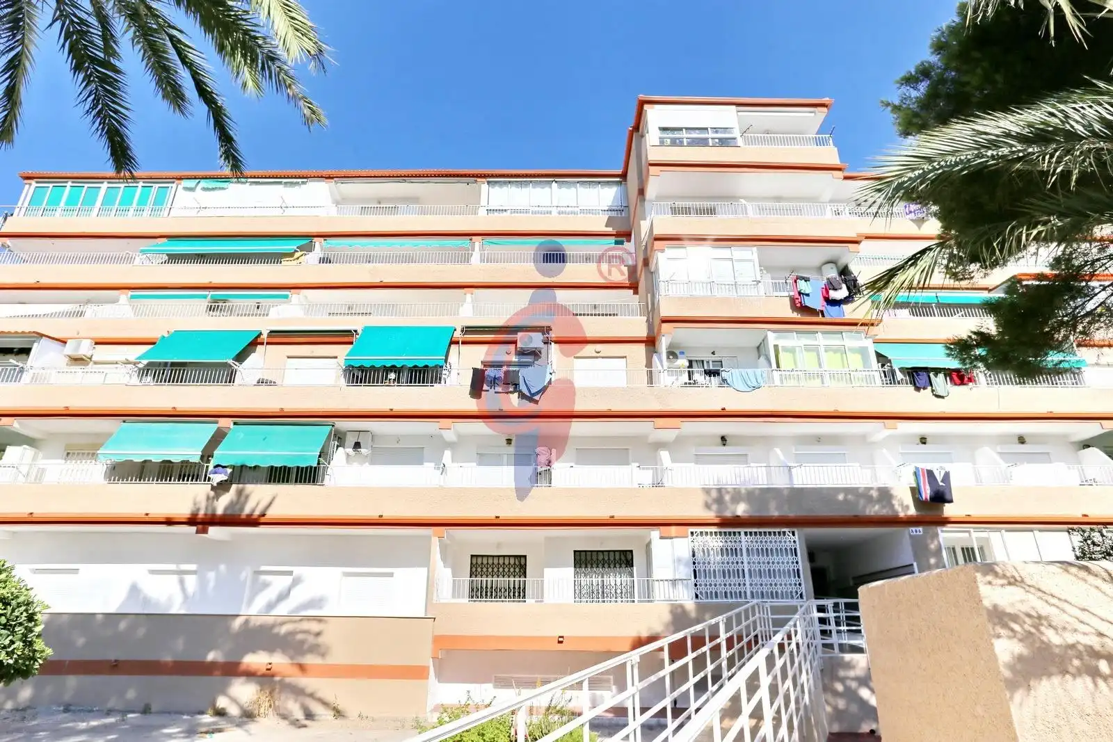 Vista exterior de Piso en venta en Guardamar del Segura con Amueblado