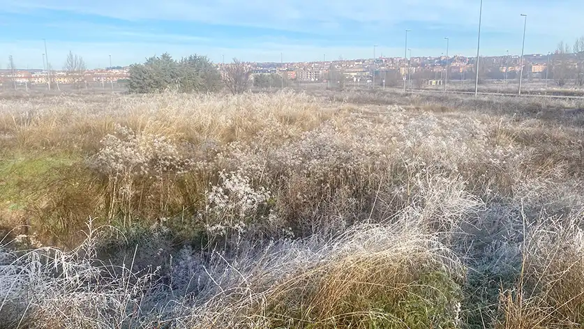 Terreni e lotti in vendita a Sónsoles, imagen 10