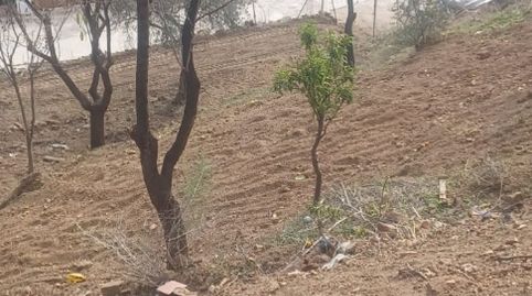 Foto 5 de Finca rústica en venta en Calle Carril, Almogía, Málaga