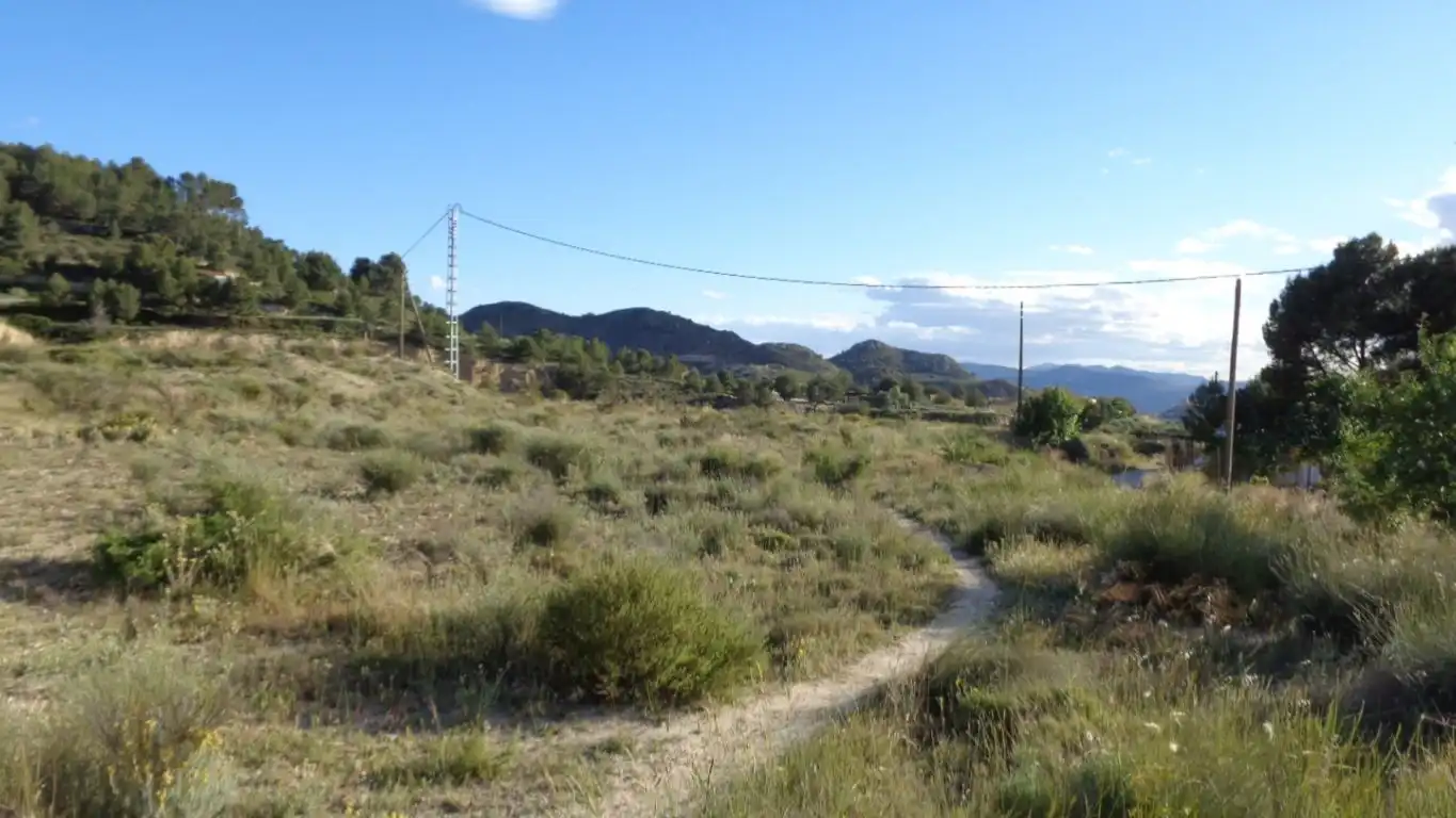 Terreno rustico in vendita a Partida CARREFOUR - FIGUERALET, imagen 5