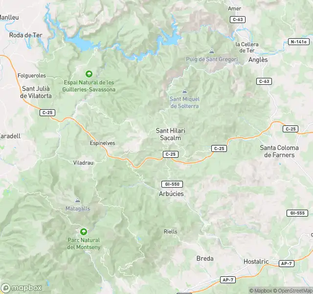 Wohnung zum Verkauf in Sant Hilari Sacalm