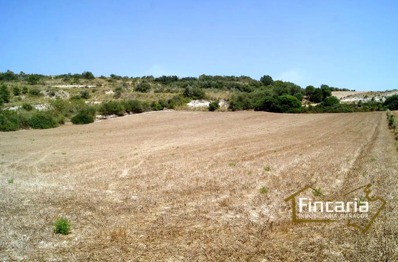 Terrenys i solars en venda a Camí de sa Murtera, imagen 2
