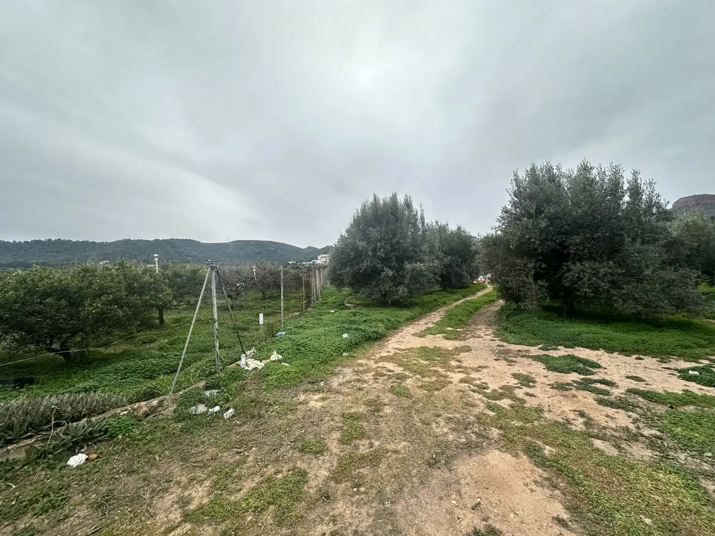 Wohnbaugrundstück zum Verkauf in Petrés, imagen 15