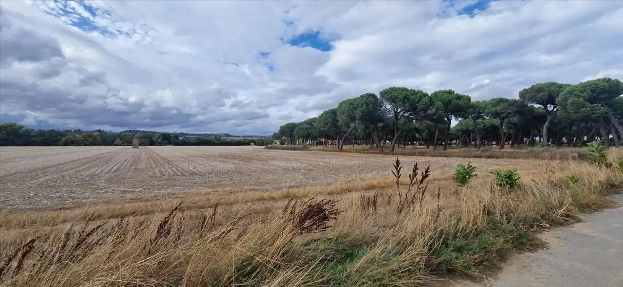 Terreno residencial en venta en DUERO BAJO, imagen 6