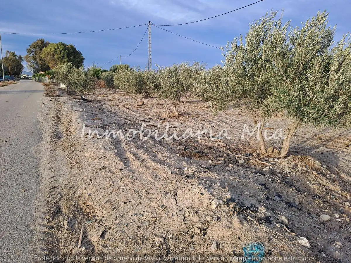 Houses for sale in Almendricos