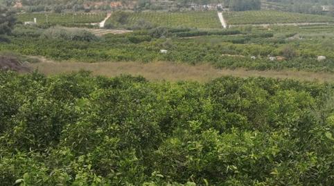 Photo 3 of Land for sale in Sellent, Valencia