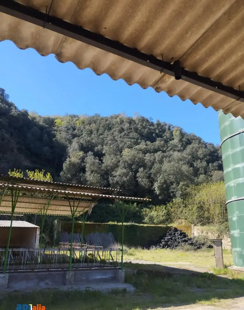 Terraza de Finca rústica en venta en Massanes