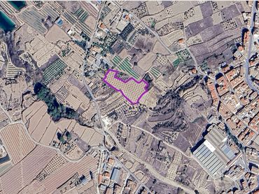 Terreni e lotti in vendita a Pliego