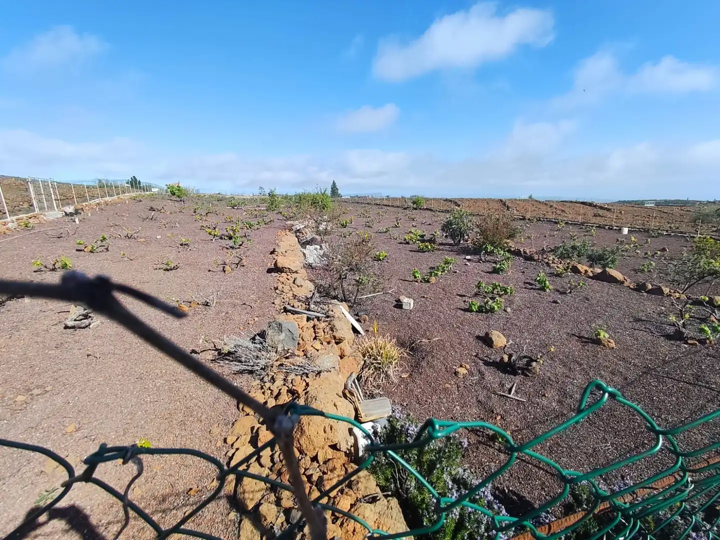 Terreno en venta en Vilaflor de Chasna