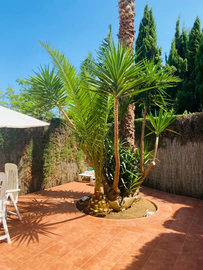 Adosado con jardín en venta en El Puerto, imagen 3