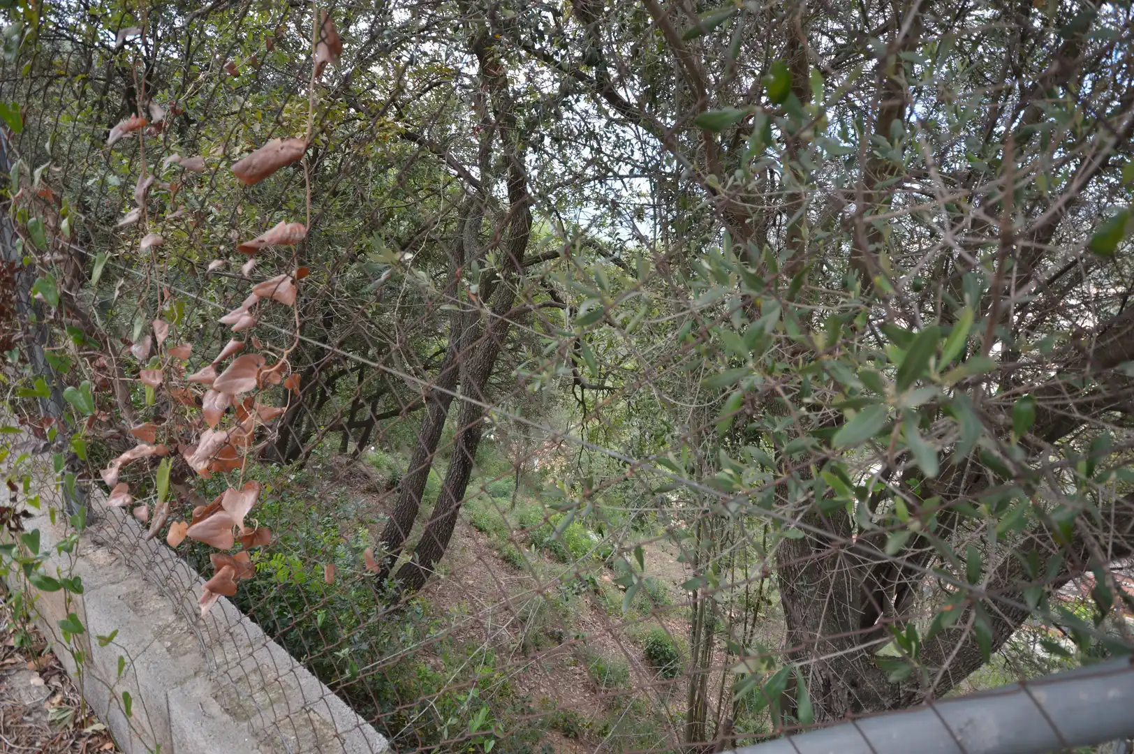 Wohnbaugrundstück zum Verkauf in Camí de Sòcies, imagen 8