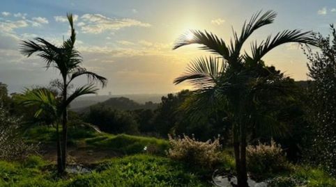 Foto 2 de Terreno en venta en Diseminado Poligono 14, 5, Reserva de Marbella, Marbella