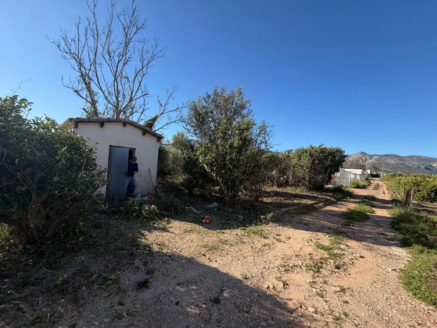 Rural land for sale in Pego, imagen 2